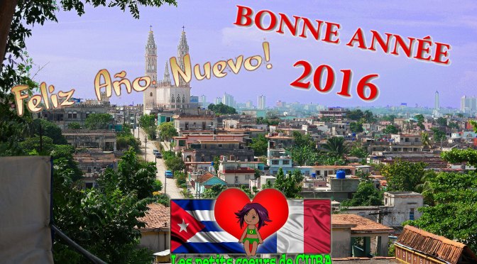 BONNE ANNEE !!
