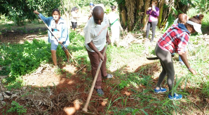 VIDÉO DE NOTRE BRIEFING ET TRAVAIL SUR NOTRE EXPLOITATION A CUBA.