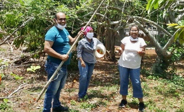 RÉCOLTE DES FRUITS DANS NOTRE EXPLOITATION DU CENTRE D&rsquo;ACCUEIL DE CUBA.