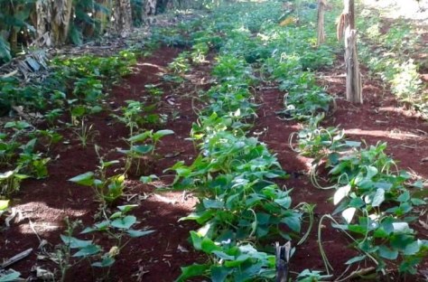 116239389_748069749067714_8547184188365942604_n