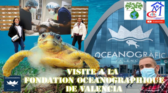 VISITE A LA FONDATION OCEANOGRAPHIQUE DE VALENCE EN ESPAGNE