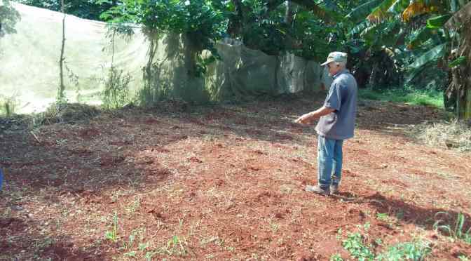 EXPLOITATION AGRICOLES DU CENTRE : DES TERRAINS TOUT PROPRES.