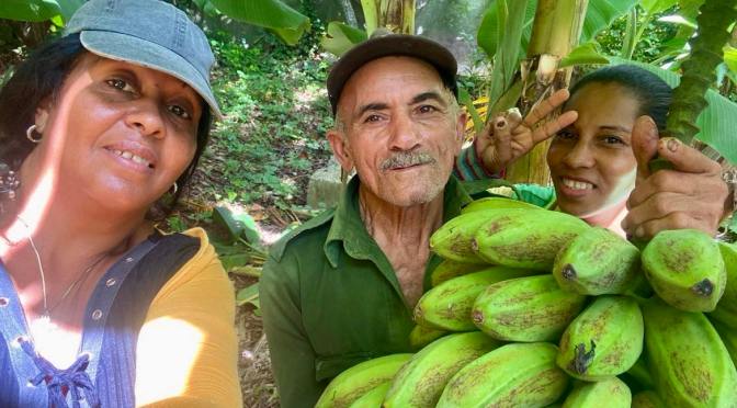 FERME BIO DE LA HAVANE DE L&rsquo;ASSOCIATION DES PETITS COEURS DE CUBA.