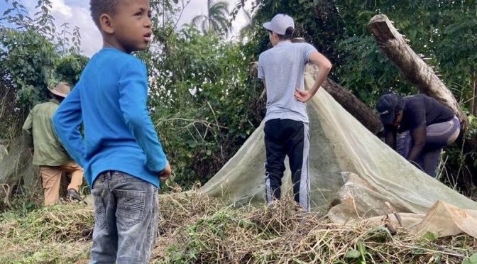 LES PETITS COEURS DE CUBA : NETTOYAGE DE L’EXPLOITATION AGRICOLE APRES LE PASSAGE DE L’OURAGAN RAFAEL.